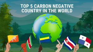 Top 5 Carbon Negative Country In The World